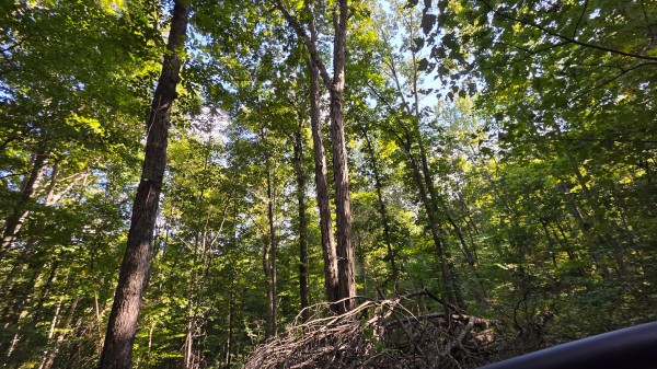 Overlook Cabin at Big Timber Ridge property photo