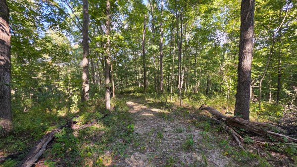 Overlook Cabin at Big Timber Ridge property photo