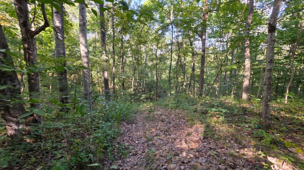 Overlook Cabin at Big Timber Ridge property photo
