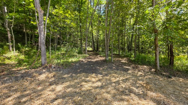 Tract A – Hocking Hideout on Monday Creek property photo