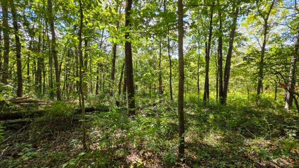 Tract A – Hocking Hideout on Monday Creek property photo