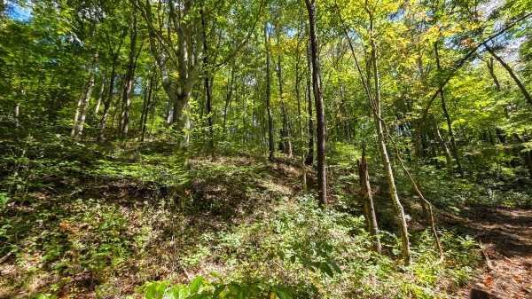 Tract A – Hocking Hideout on Monday Creek property photo