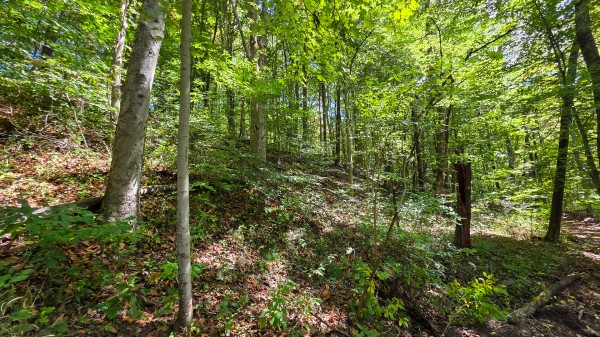 Tract A – Hocking Hideout on Monday Creek property photo
