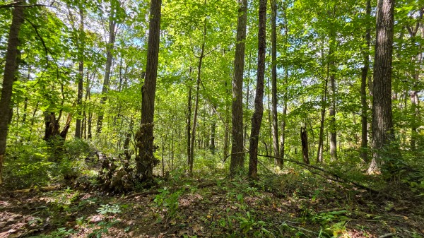 Tract A – Hocking Hideout on Monday Creek property photo