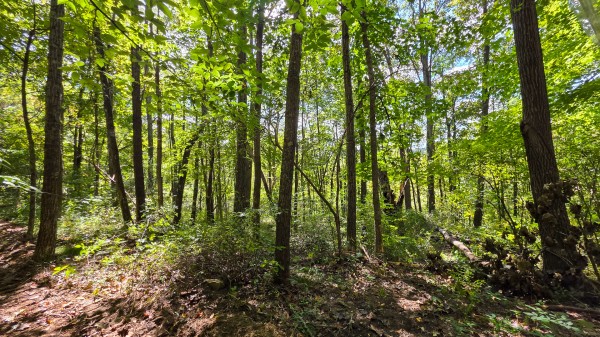 Tract A – Hocking Hideout on Monday Creek property photo