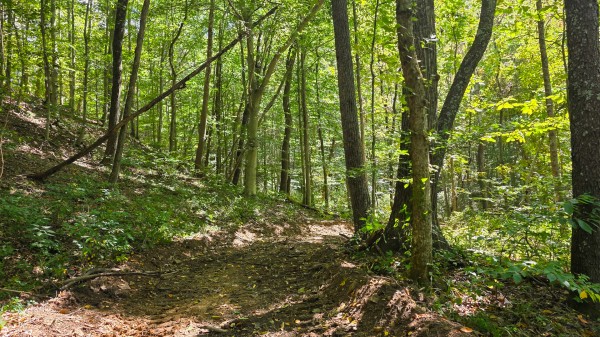Tract A – Hocking Hideout on Monday Creek property photo