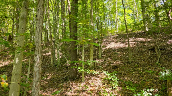 Tract A – Hocking Hideout on Monday Creek property photo