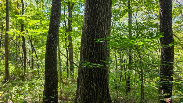 Tract A – Hocking Hideout on Monday Creek property photo