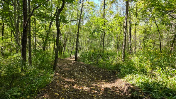 Tract A – Hocking Hideout on Monday Creek property photo