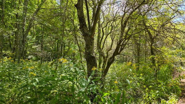 Tract A – Hocking Hideout on Monday Creek property photo