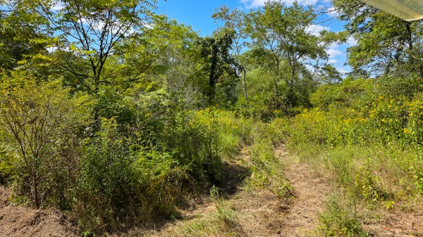 Tract A – Hocking Hideout on Monday Creek property photo