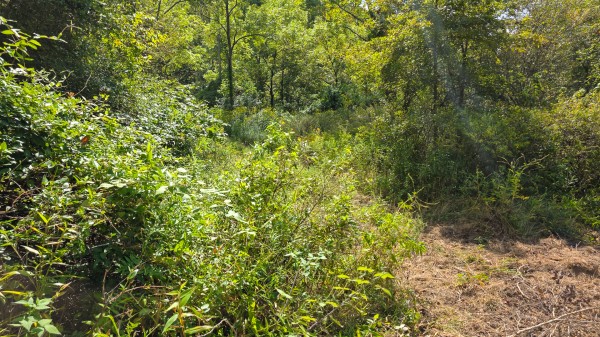 Tract A – Hocking Hideout on Monday Creek property photo