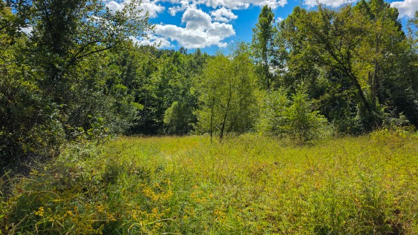 Tract A – Hocking Hideout on Monday Creek property photo