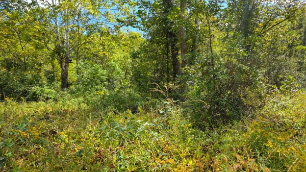 Tract A – Hocking Hideout on Monday Creek property photo