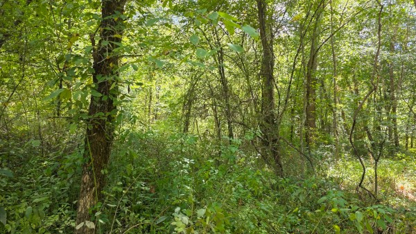 Tract A – Hocking Hideout on Monday Creek property photo