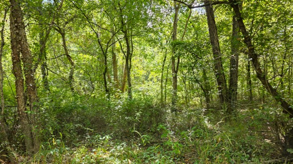 Tract A – Hocking Hideout on Monday Creek property photo