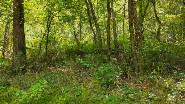 Tract A – Hocking Hideout on Monday Creek property photo