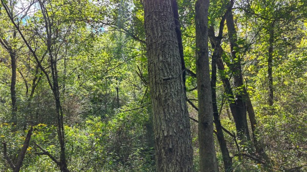 Tract A – Hocking Hideout on Monday Creek property photo
