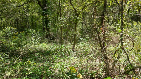 Tract A – Hocking Hideout on Monday Creek property photo