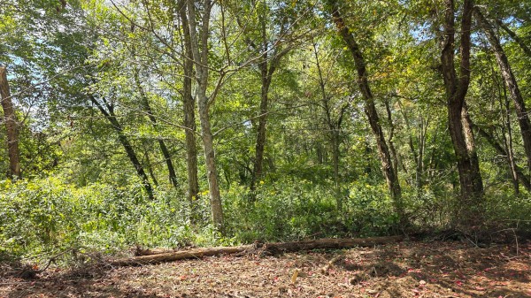 Tract A – Hocking Hideout on Monday Creek property photo