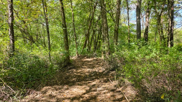 Tract A – Hocking Hideout on Monday Creek property photo