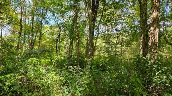 Tract A – Hocking Hideout on Monday Creek property photo
