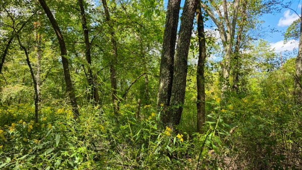 Tract A – Hocking Hideout on Monday Creek property photo