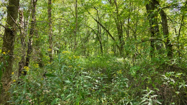 Tract A – Hocking Hideout on Monday Creek property photo