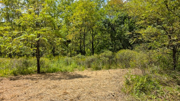 Tract A – Hocking Hideout on Monday Creek property photo