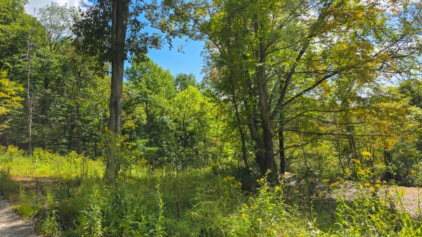 Tract A – Hocking Hideout on Monday Creek property photo