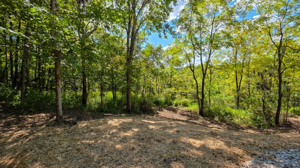 Tract A – Hocking Hideout on Monday Creek property photo