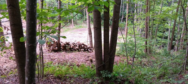 Valley-View Cabin property photo