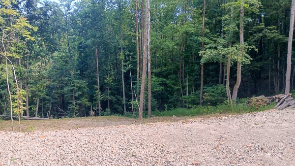 Valley-View Cabin property photo