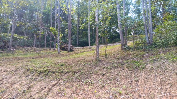 Valley-View Cabin property photo