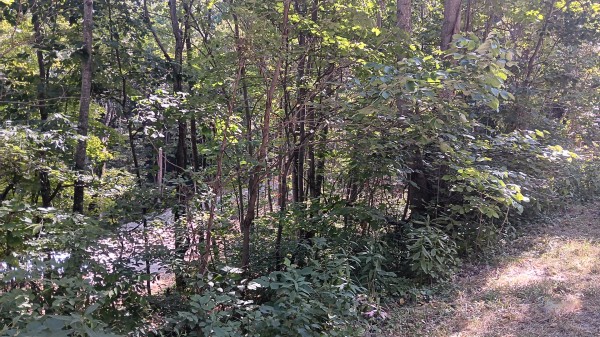 Valley-View Cabin property photo