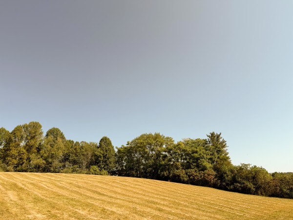 Tract 7 at Wolf Hill Estates property photo
