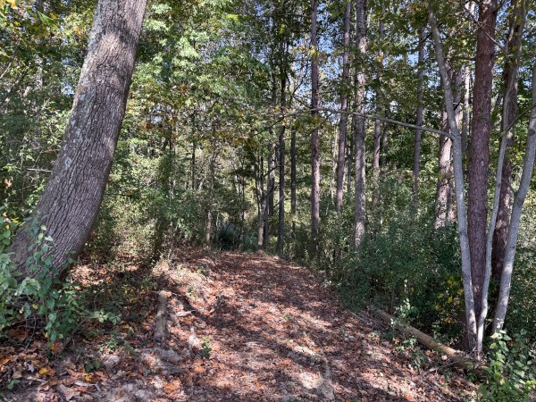 Tract 7 at Wolf Hill Estates property photo