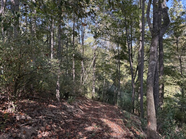 Tract 7 at Wolf Hill Estates property photo