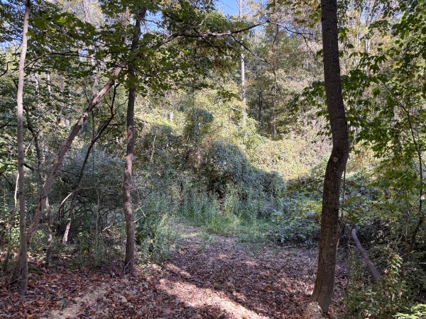Tract 7 at Wolf Hill Estates property photo