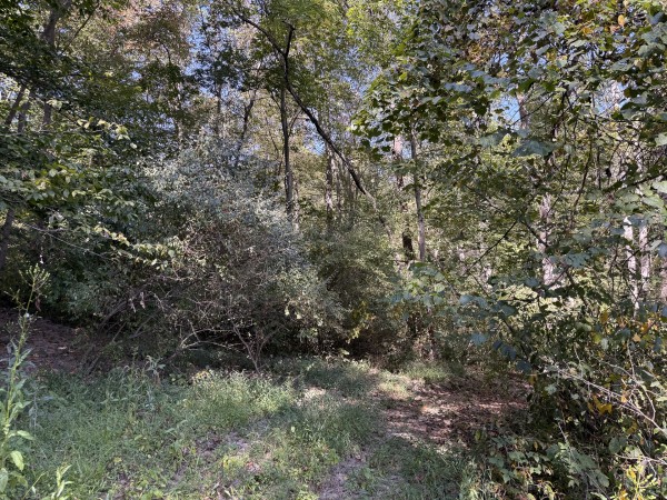 Tract 7 at Wolf Hill Estates property photo