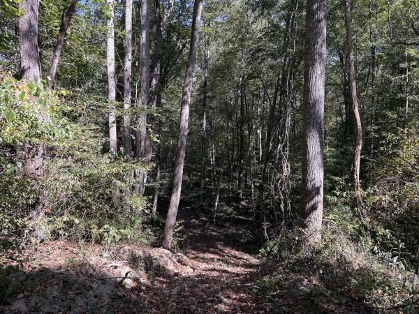Tract 7 at Wolf Hill Estates property photo