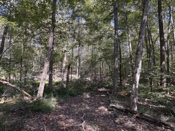 Tract 7 at Wolf Hill Estates property photo