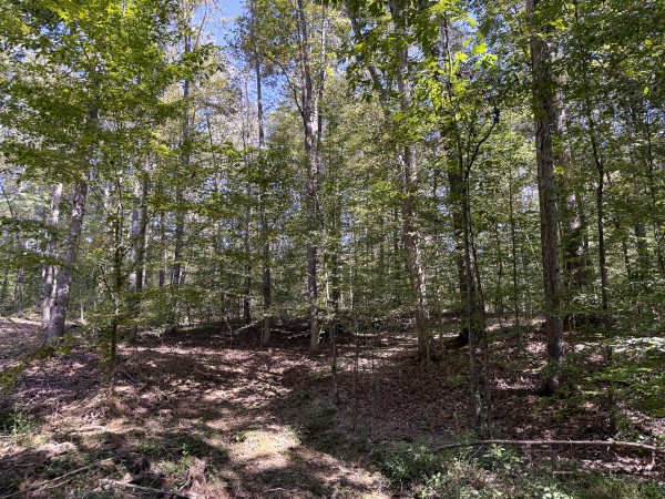 Tract 7 at Wolf Hill Estates property photo