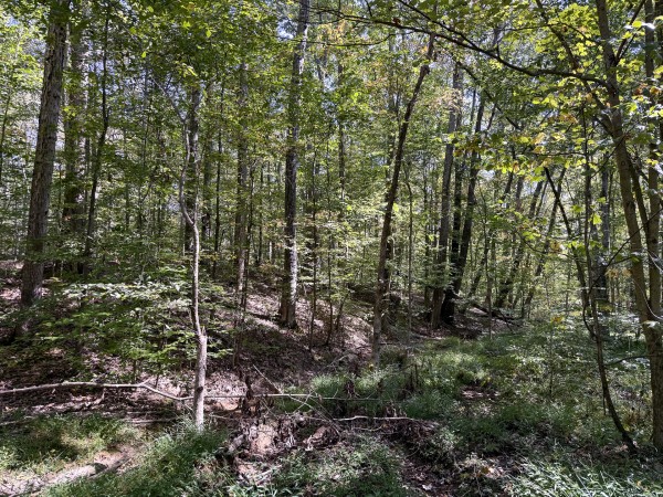 Tract 7 at Wolf Hill Estates property photo
