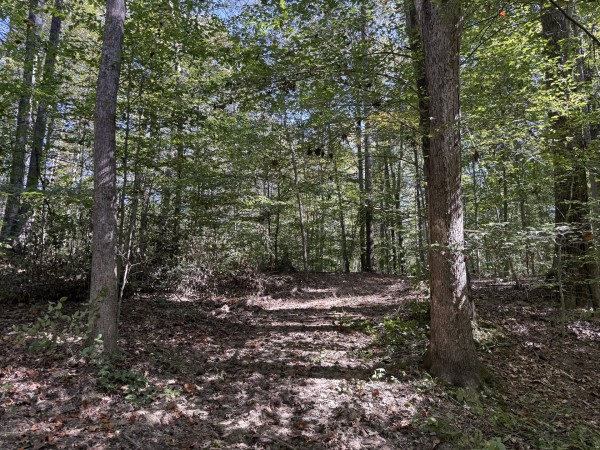 Tract 7 at Wolf Hill Estates property photo