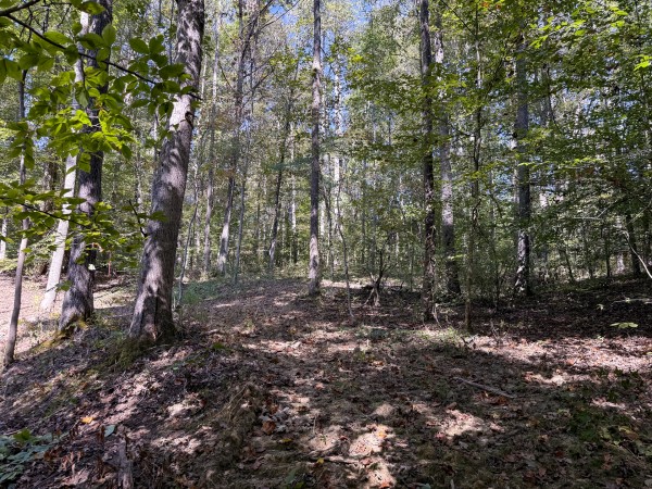 Tract 7 at Wolf Hill Estates property photo