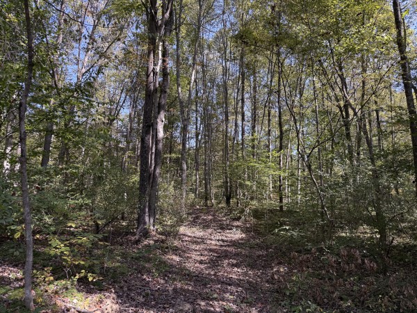 Tract 7 at Wolf Hill Estates property photo