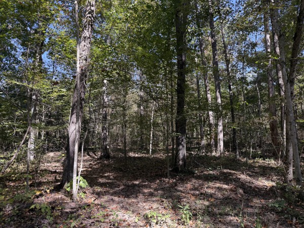 Tract 7 at Wolf Hill Estates property photo