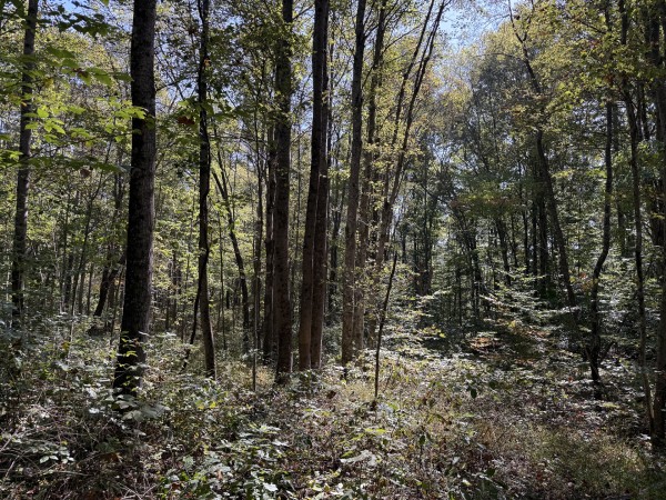 Tract 7 at Wolf Hill Estates property photo