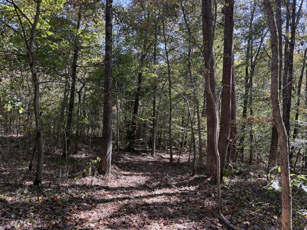 Tract 7 at Wolf Hill Estates property photo